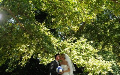 Royal wedding